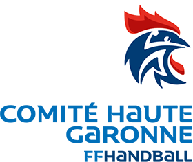 Comité Handball 31